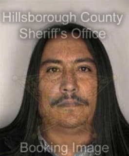 Ortizmartinez Samuel - Hillsborough County, Florida 