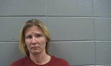 Palmer Shannon - Cook County, Illinois 