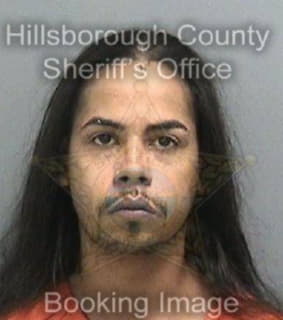 Diaz Steven - Hillsborough County, Florida 