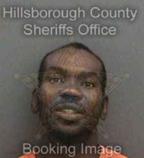 Robinson Anthony - Hillsborough County, Florida 