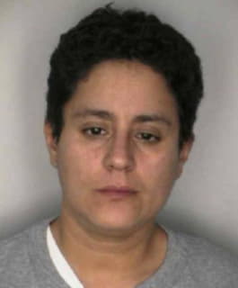 Diaz Denise - Hillsborough County, Florida 