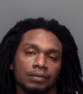 Martin Jason - Pinellas County, Florida 