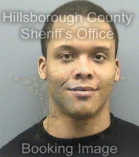 Williams Kristopher - Hillsborough County, Florida 