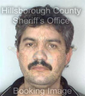 Romero Luis - Hillsborough County, Florida 