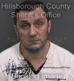 Petrov Yurii - Hillsborough County, Florida 