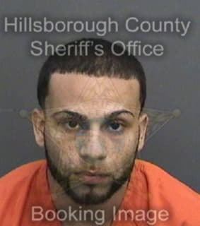 Rivera Danniel - Hillsborough County, Florida 