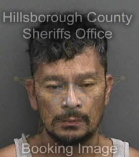 Regis Ernesto - Hillsborough County, Florida 