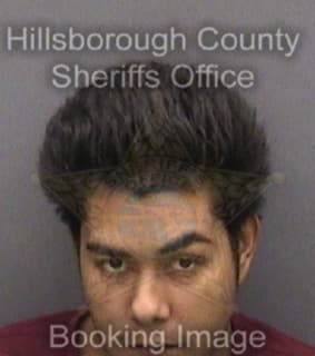 Robles Jose - Hillsborough County, Florida 