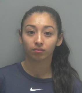 Meza Kenessy - Lee County, Florida 