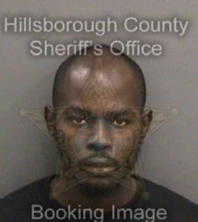 Bivins Levell - Hillsborough County, Florida 