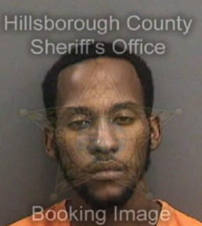 Anderson Melvin - Hillsborough County, Florida 