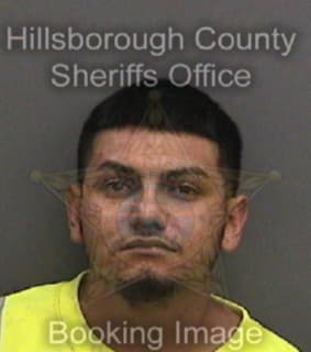 Carranza Miguel - Hillsborough County, Florida 