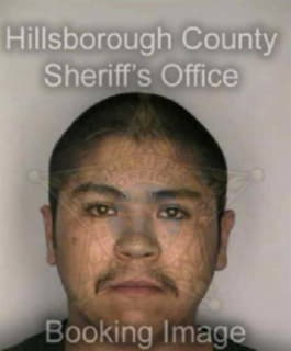 Pasqual Sergio - Hillsborough County, Florida 