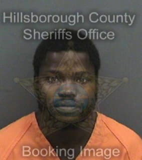 Moore Antwon - Hillsborough County, Florida 