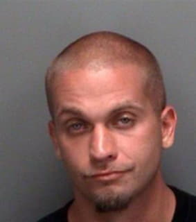 Mclaughlin Charles - Pinellas County, Florida 