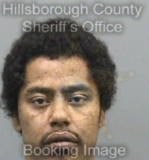 Villasenor Randy - Hillsborough County, Florida 