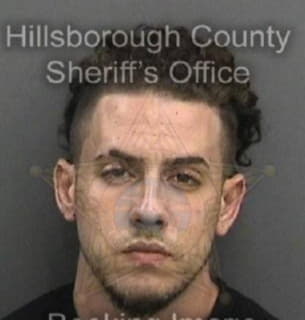 Roman Anthony - Hillsborough County, Florida 