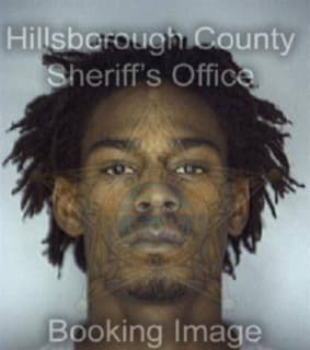 Davis James - Hillsborough County, Florida 