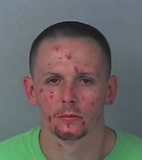 Mullins Ryan - Hernando County, Florida 