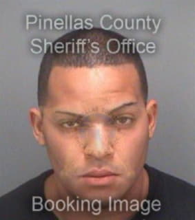 Matthews Alex - Pinellas County, Florida 