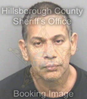 Andrade Gerardo - Hillsborough County, Florida 