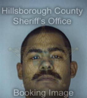 Rodriguez Elias - Hillsborough County, Florida 