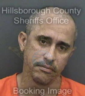 Pinobetancourt Norlan - Hillsborough County, Florida 