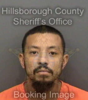 Cohen Ricky - Hillsborough County, Florida 