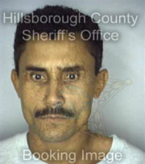 Duarte Tulio - Hillsborough County, Florida 