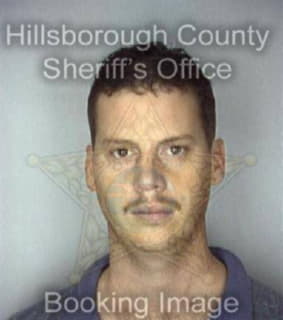 Williams David - Hillsborough County, Florida 