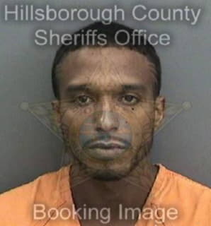 Diaz Ismael - Hillsborough County, Florida 