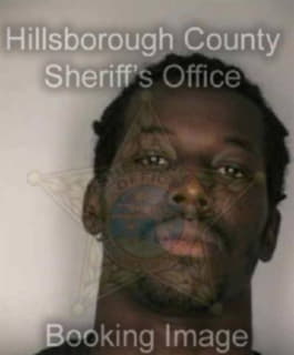 Johnson Marvin - Hillsborough County, Florida 