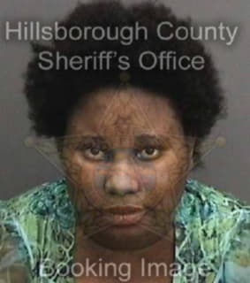 Julesaint Nelly - Hillsborough County, Florida 