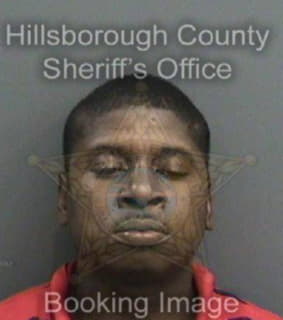 Williams Javaris - Hillsborough County, Florida 