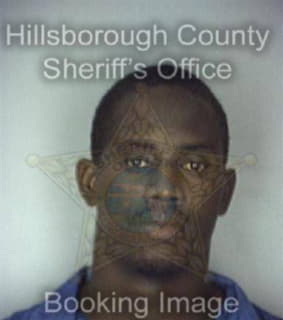 Patterson Michael - Hillsborough County, Florida 
