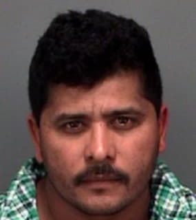 Romero Christino - Pinellas County, Florida 