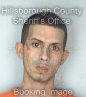 Vazquez Javiel - Hillsborough County, Florida 