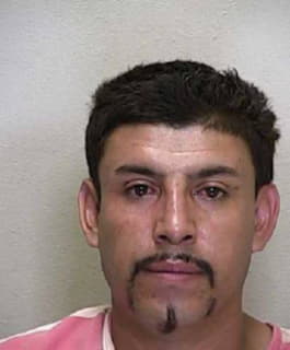 Hernandez-Granillo Luis - Marion County, Florida 