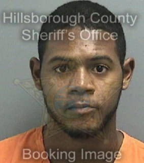 Johnson Markel - Hillsborough County, Florida 