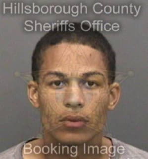 Delllano Markevius - Hillsborough County, Florida 