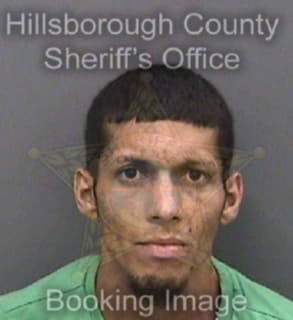 Reyes Yovonne - Hillsborough County, Florida 