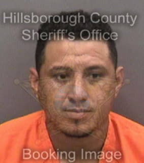 Vargas Arturo - Hillsborough County, Florida 