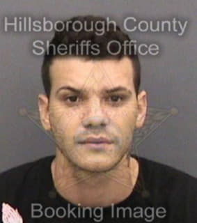 Lopez-Cespedes Jorge - Hillsborough County, Florida 