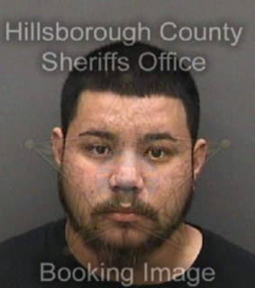 Castillo Jose - Hillsborough County, Florida 