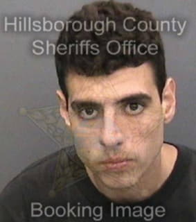 Lopresti Nicholas - Hillsborough County, Florida 