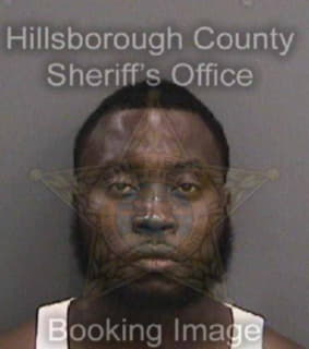 Julmiste Joshua - Hillsborough County, Florida 