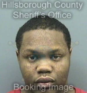 Roberts Samuel - Hillsborough County, Florida 