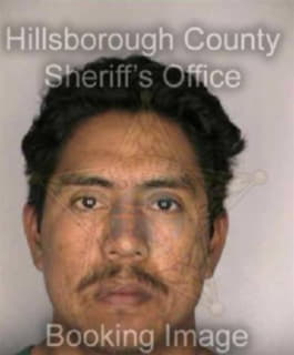 Cruzcastro Segundo - Hillsborough County, Florida 