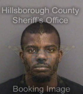 Leggett Michael - Hillsborough County, Florida 