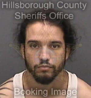 Rodriguez Andres - Hillsborough County, Florida 